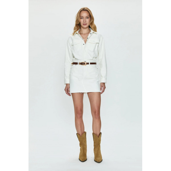 Spring Joie Mini Dress