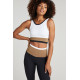 Fate Colorblock Bra